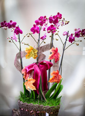 Flower arrangement containing orchids. - obrazy, fototapety, plakaty