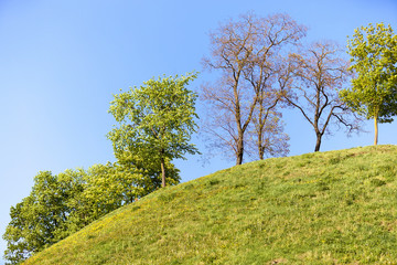 Obraz premium spring season Photo 