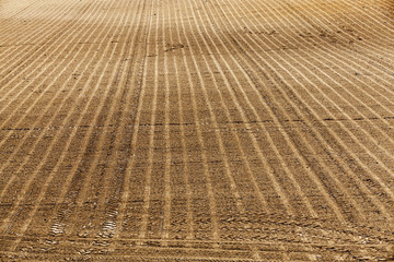 Fototapeta premium plowed agricultural field 