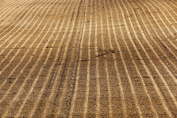 Fototapeta premium plowed agricultural land 