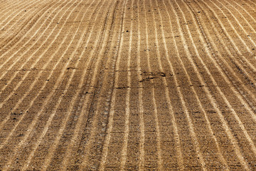 plowed agricultural land  