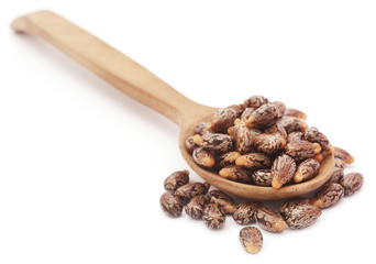 Castor beans in a wooden spoon