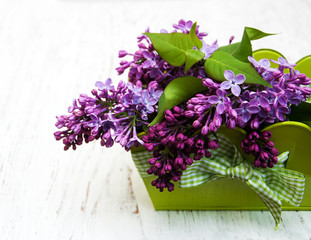 Lilac flowers