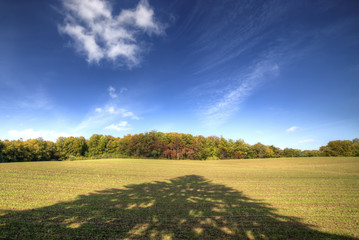 Golden autumn landscape