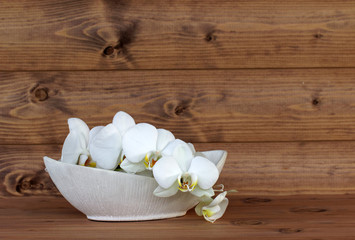 Orchideenblüte in einer Schale