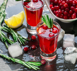 Red cocktail  with fresh cranberries, lemon, rosemary and vodka