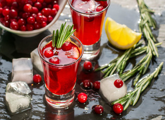 Red cocktail  with fresh cranberries, lemon, rosemary and vodka