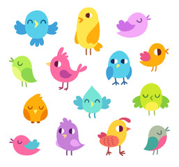 cute cartoon birds set