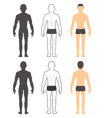 Male body illustration