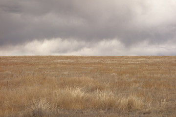 Prairie under a Stormy Sky
