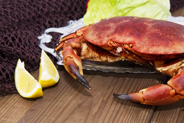 crab on a plate on the table