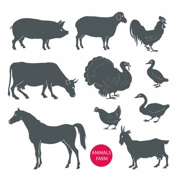 vector set of farm animals cow, sheep, goat, pig, horse. Set of detailed quality vector silhouettes of chicken, rooster, goose, turkey, duck. Vector Illustrations isolated on white background.