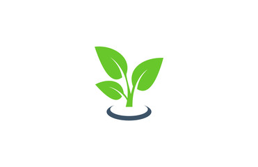 Fototapeta na wymiar green leaf eco plant vector logo icon