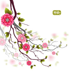 Oriental designed card with branches of japanese cherry flowers. Hieroglyph is sakura.