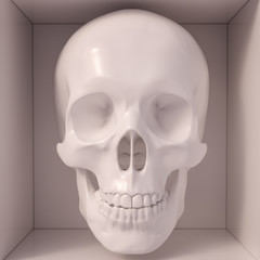 White skull