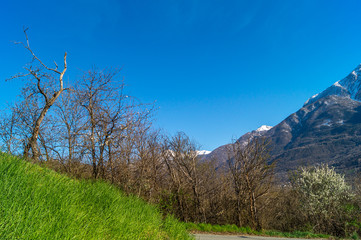 Fototapeta na wymiar Paesaggio montano, panorama di montagna, primavera, cielo blu e prato