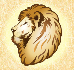 Vector illustration of a lion head