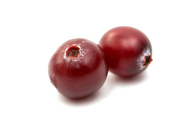 cranberries isolated