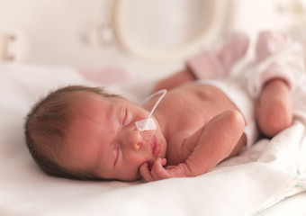 Premature newborn  baby girl