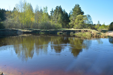River spring landscape in the national Park 