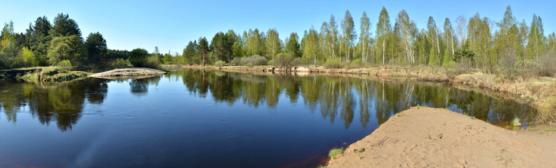 Fototapeta na wymiar Panorama spring forest river.