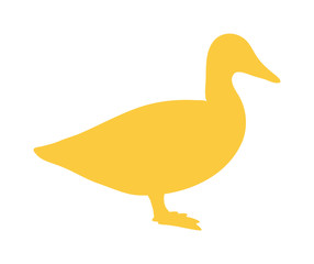 Wild duck animal flat vector silhouette