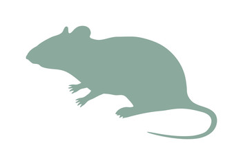 Wild rat, mouse animal flat vector silhouette