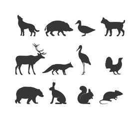 Fototapeta premium Wild animals black silhouette and wild animal symbols