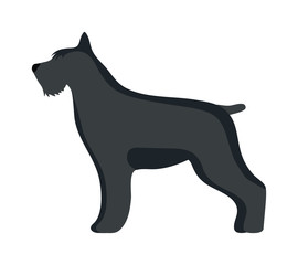 Flat dog pet and sitting cute vector