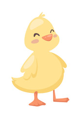 Cartoon duck toy animal yellow character flat vector. 