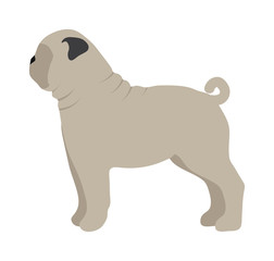 Flat dog pet and sitting cute vector