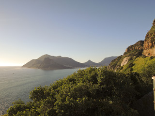 Wild South African coast line full of wild flowers and vegetatio