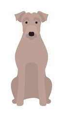Flat dog pet and sitting cute vector