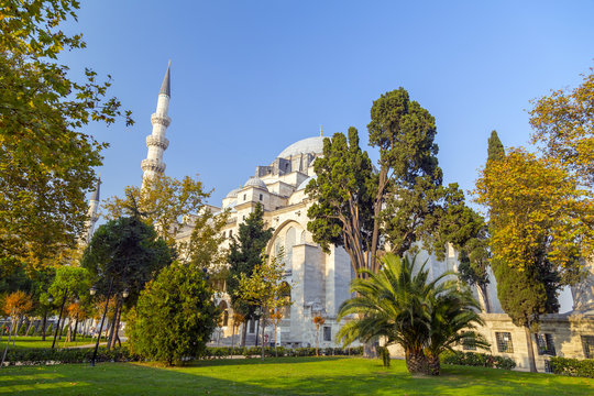 Architectural detail from a mosque in Istanbul, Turkey