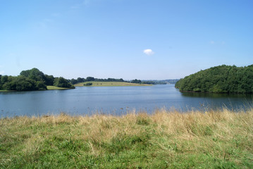 Bowl Water Reservoir