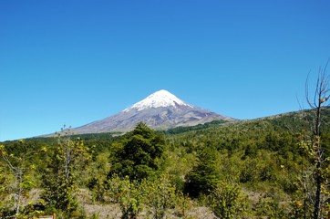 Scenic view of the vulcano Osorno during a trek in the Vincente Perez Rosales National Park in Petrohue