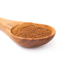 Wooden spoon full of cinnamon