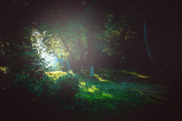 Illuminated lawn in the park