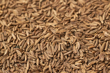 Surface covered with cumin seeds