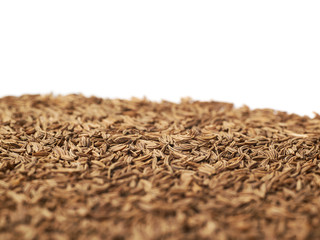 Surface covered with cumin seeds