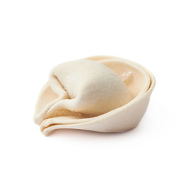 Single frozen dumpling isolated
