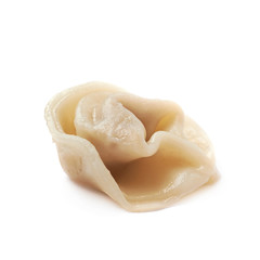 Single cooked dumpling isolated