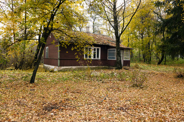 Fototapeta na wymiar wooden house , fallen leaves