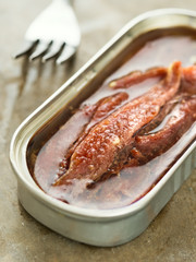 canned salted anchovy fillets in oil