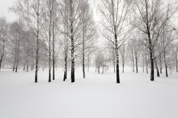 Fototapeta na wymiar winter time , snow