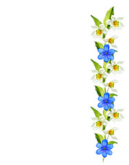 Obraz na płótnie Canvas spring flowers snowdrops isolated on white background