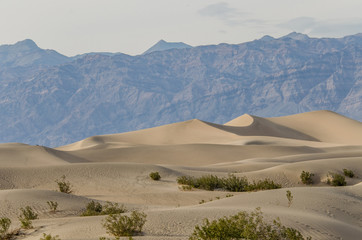 Mesquite Dunes in Death Valley, California