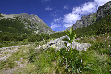 W Dolinie Wielickiej © Jurek Adamski