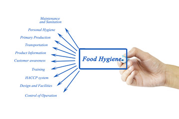 Women hand writing element of Food Hygiene Principle concept for business concept and use in manufacturing