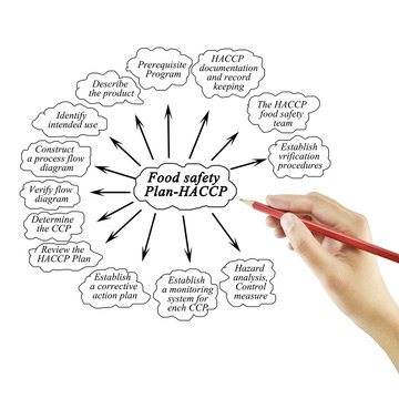 Hand writing element of Food safety Plan-HACCP for business concept and use in manufacturing